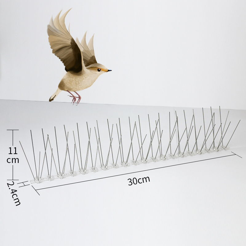 QiaoLiang base is  Plastic Base Pigeon Bird Spike anti bird spikes Pigeon Deterrent Bird Control  Suppliers