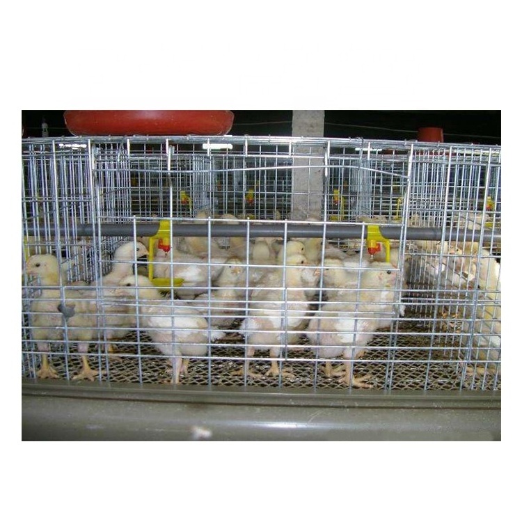 Broiler Chicken Cages Automatic Chicken Cage H Type Layer Chicken Cage