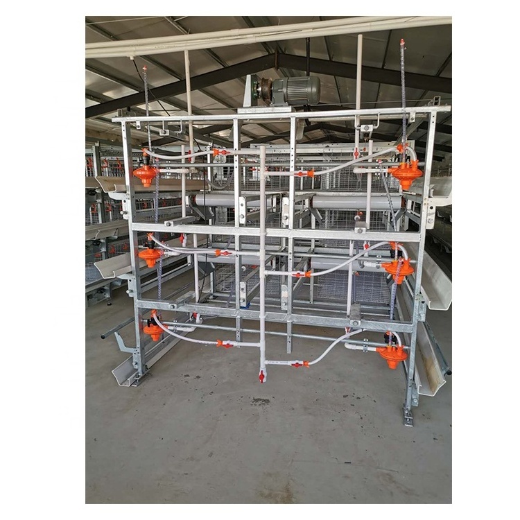 Broiler Chicken Cages Automatic Chicken Cage H Type Layer Chicken Cage