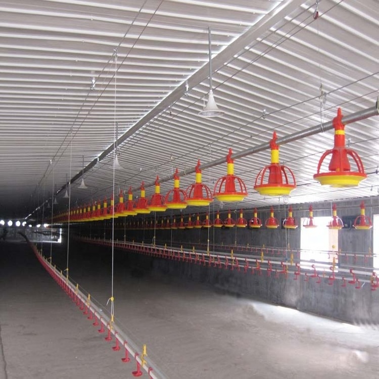 Poultry automatic feeding system for broiler farm Poultry farming equipment /Broiler pan feeder/poultry feeding line system