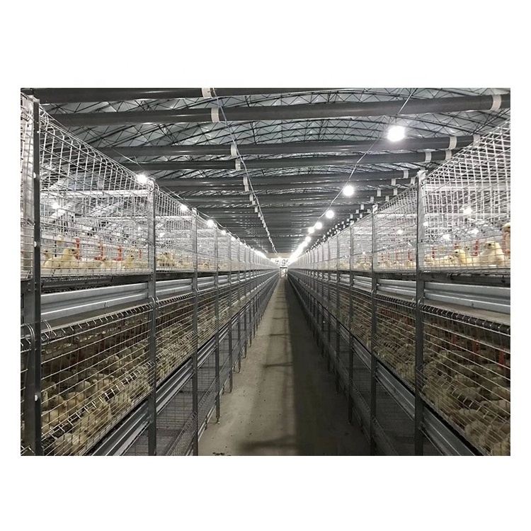 Broiler Chicken Cages Automatic Chicken Cage H Type Layer Chicken Cage