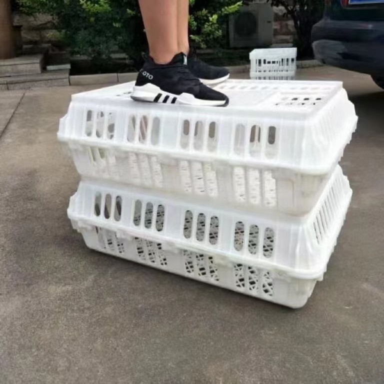 live chicken transport crate poultry plastic transport cage for duck chicken pigeon