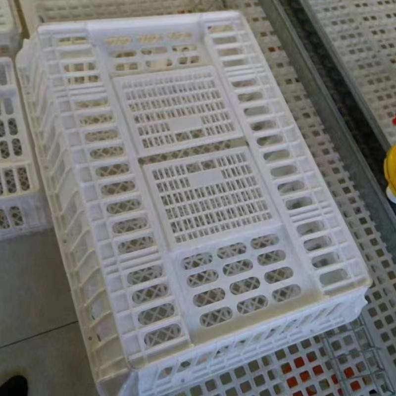 live chicken transport crate poultry plastic transport cage for duck chicken pigeon