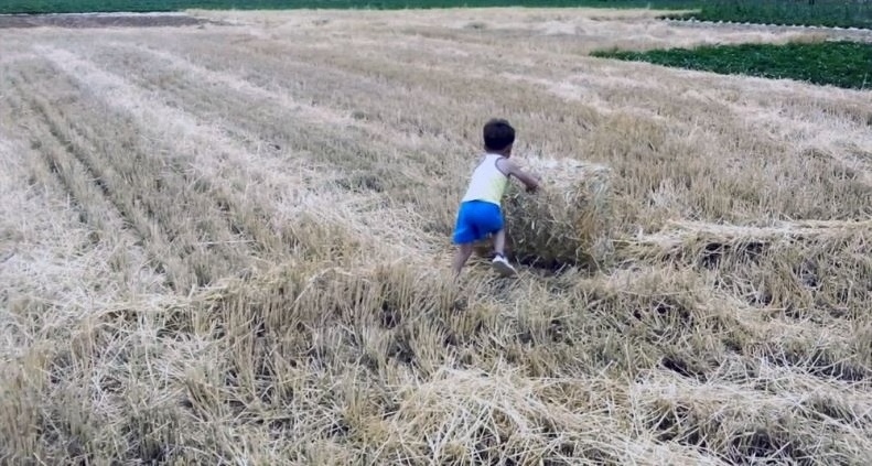 hay bale making machine