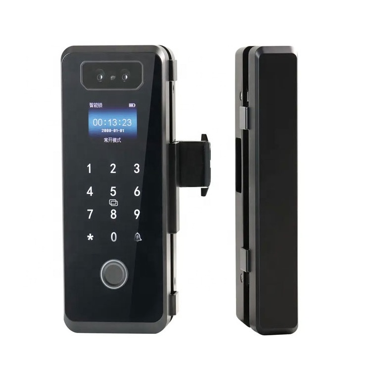 Wifi Smartlock Oem Electronic Biometric Fingerprint Gate Smart Digital Exterior Security Front Door Lock With Camera