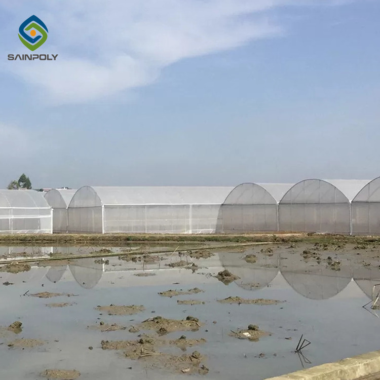 Sainpoly turnkey multi span film green house greenhouse structure commercial used greenhouse frames for sale