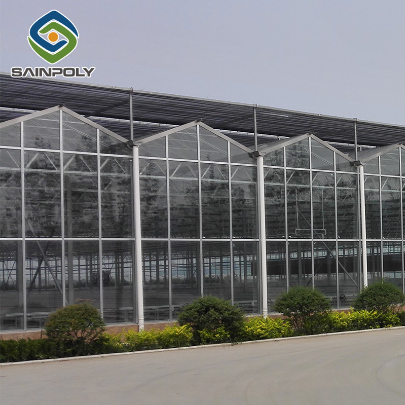 multi-span commercial aquaponic glass greenhouse used for sale