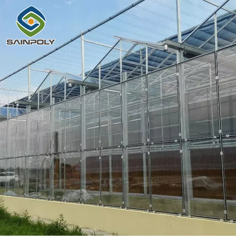 multi-span commercial aquaponic glass greenhouse used for sale