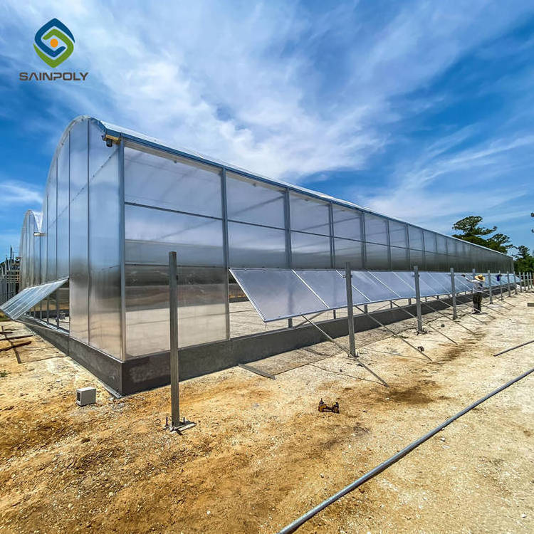 Large Size Agricultural Polycarbonate Tomato Greenhouse Used For Sale