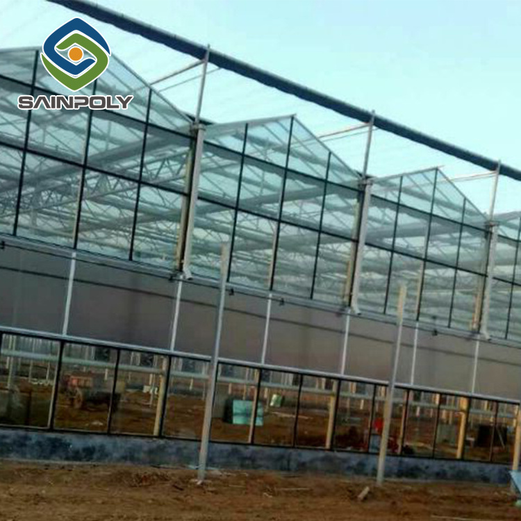 Large agriculture photovoltaic glass greenhouse used for sale