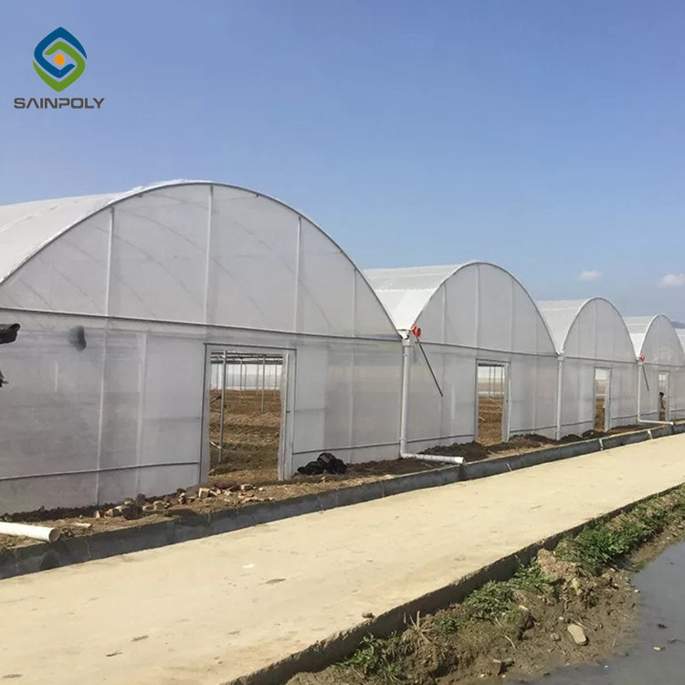 Sainpoly turnkey multi span film green house greenhouse structure commercial used greenhouse frames for sale