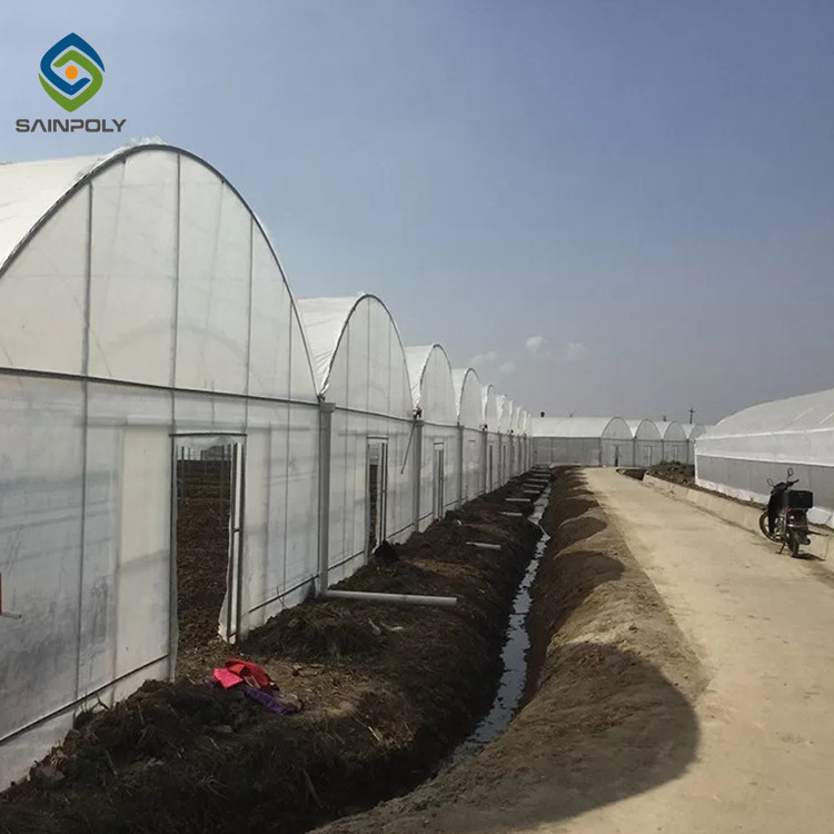 Sainpoly turnkey multi span film green house greenhouse structure commercial used greenhouse frames for sale