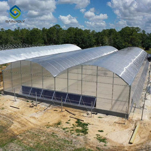 Large Size Agricultural Polycarbonate Tomato Greenhouse Used For Sale