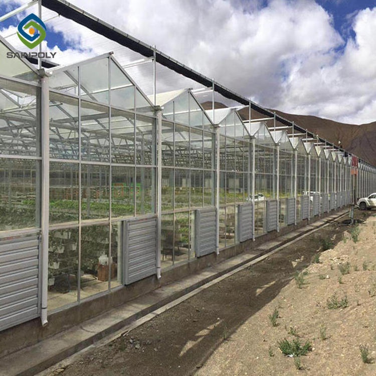 Glass Greenhouse/Commercial Greenhouse/Hydroponic Growing System For Sale