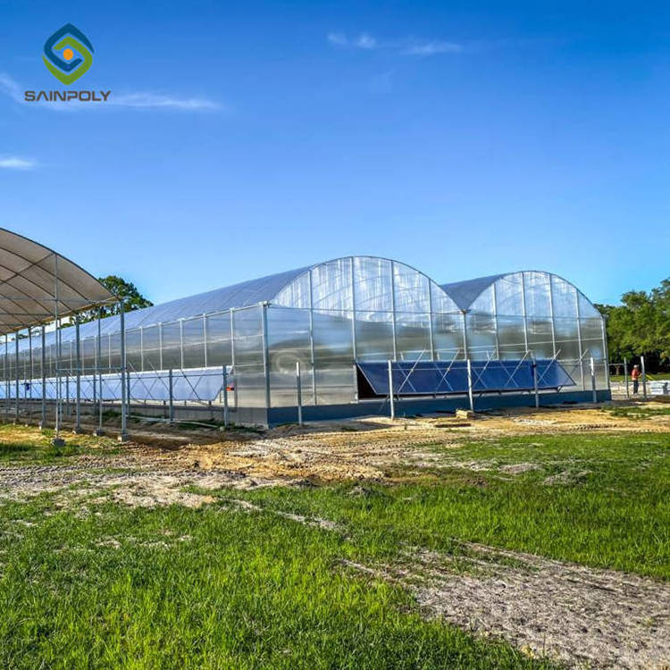 Large Size Agricultural Polycarbonate Tomato Greenhouse Used For Sale