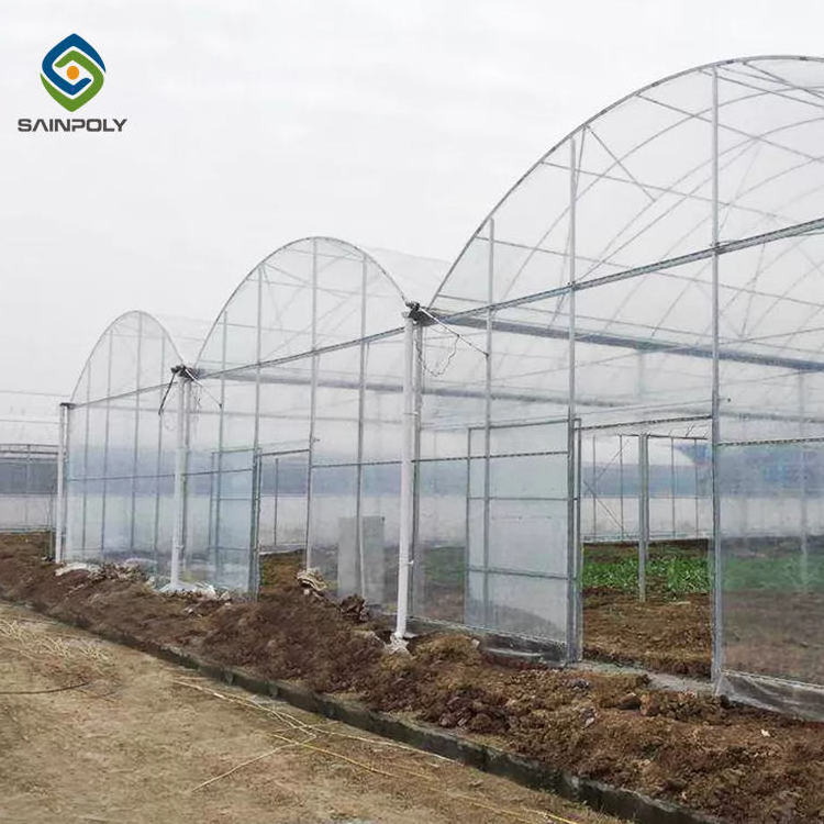 Sainpoly turnkey multi span film green house greenhouse structure commercial used greenhouse frames for sale