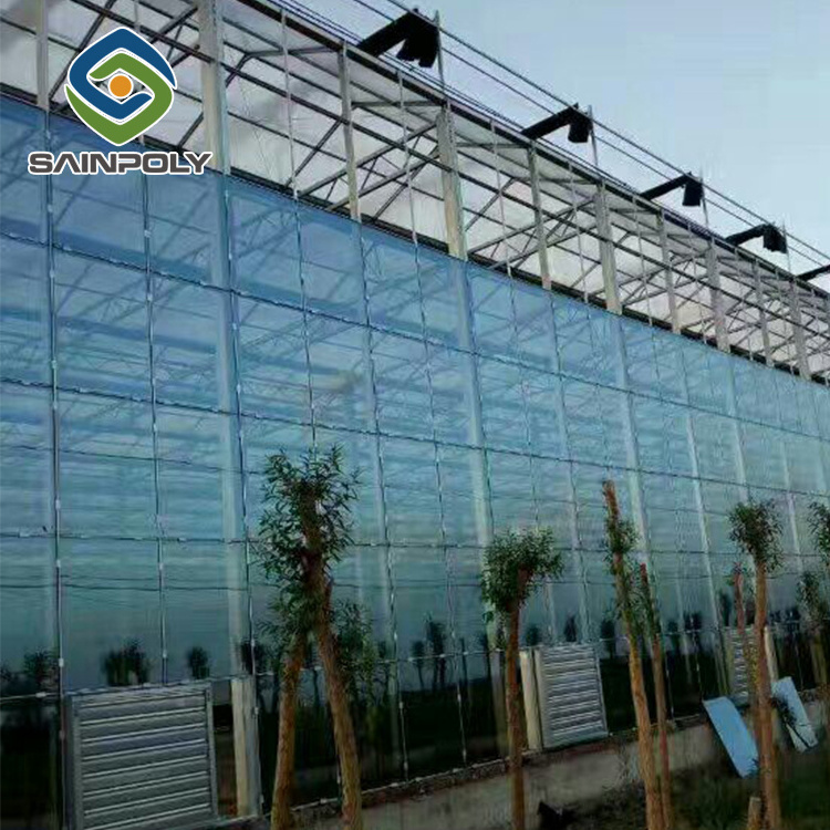 multi-span commercial aquaponic glass greenhouse used for sale