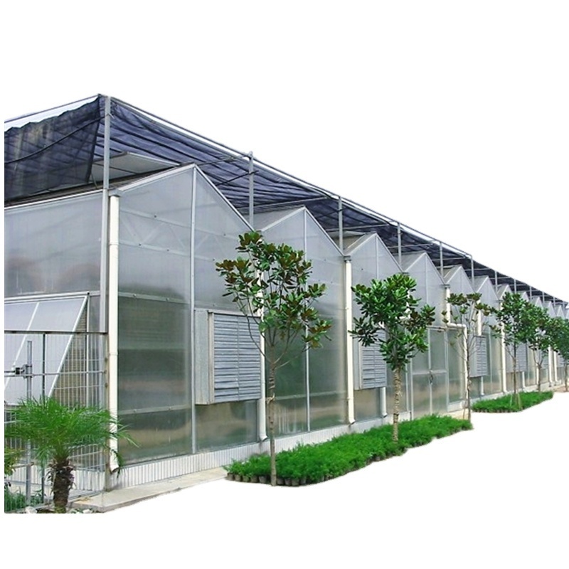 Multi-span Hydroponic PC Sheet Greenhouse for sale