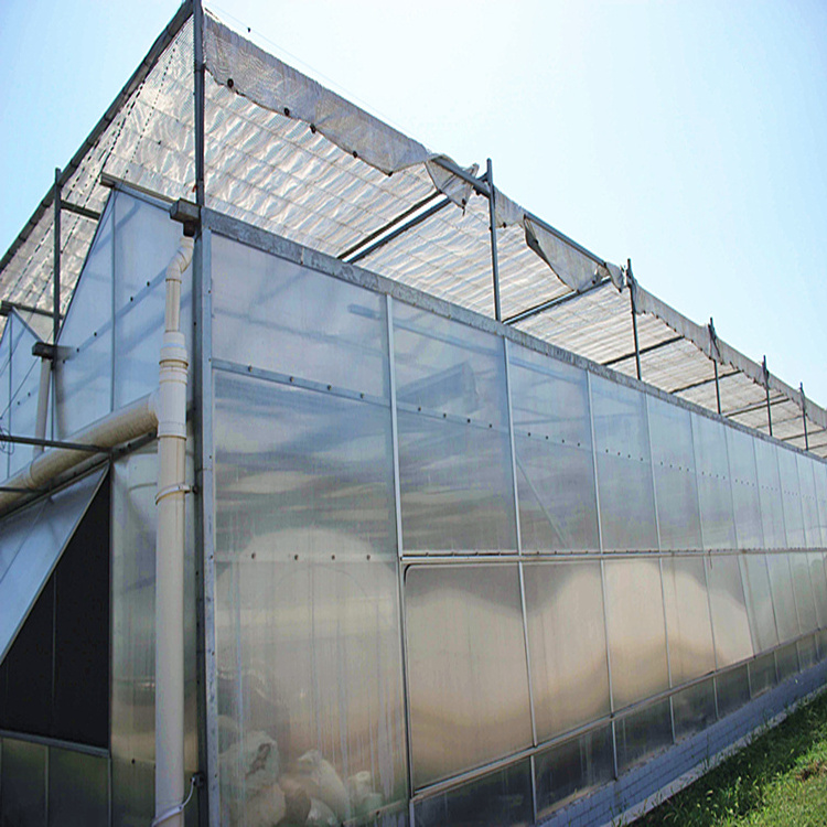 Multi-span Hydroponic PC Sheet Greenhouse for sale