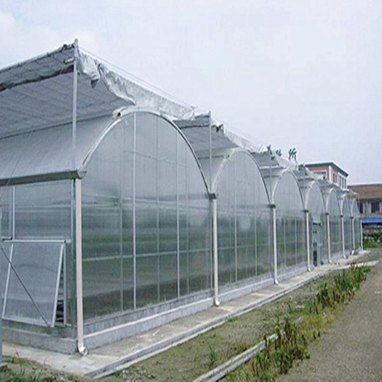 Multi-span Hydroponic PC Sheet Greenhouse for sale