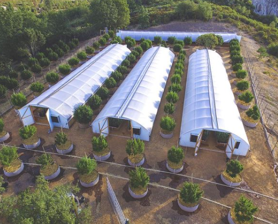 Mushroom growing greenhouse dome pe film agricultural invernadero greenhouses project