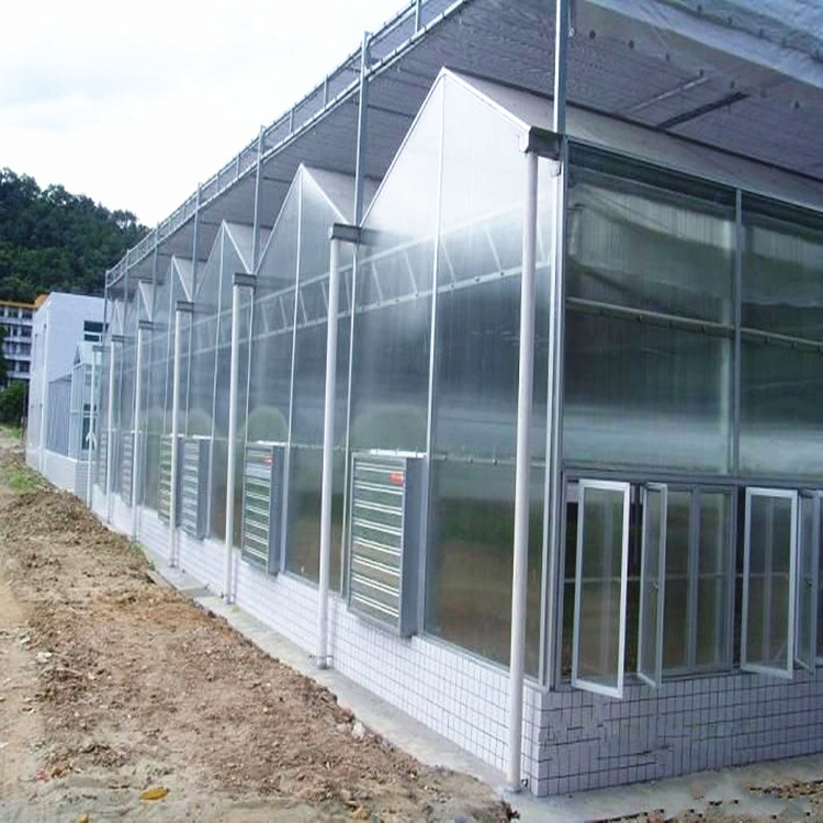 Multi-span Hydroponic PC Sheet Greenhouse for sale