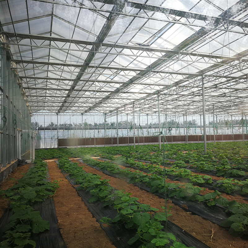 Hot sale high quality breathable ecofriendly double walled vacuum insulated aluminum used glass greenhouse