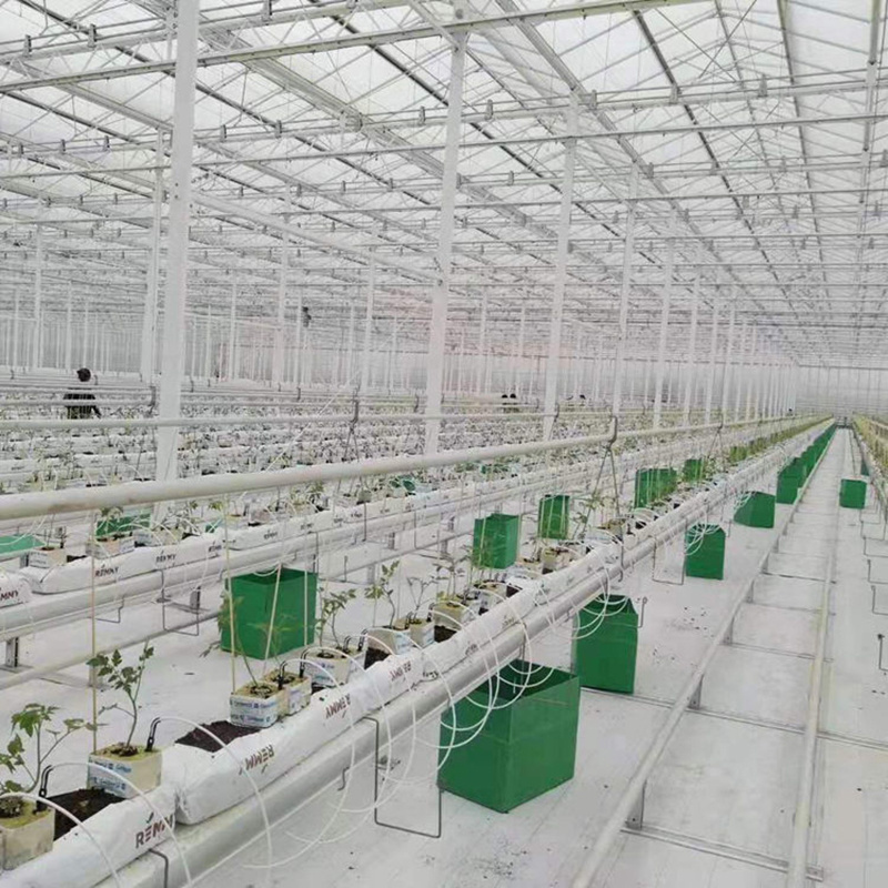 Hot sale high quality breathable ecofriendly double walled vacuum insulated aluminum used glass greenhouse