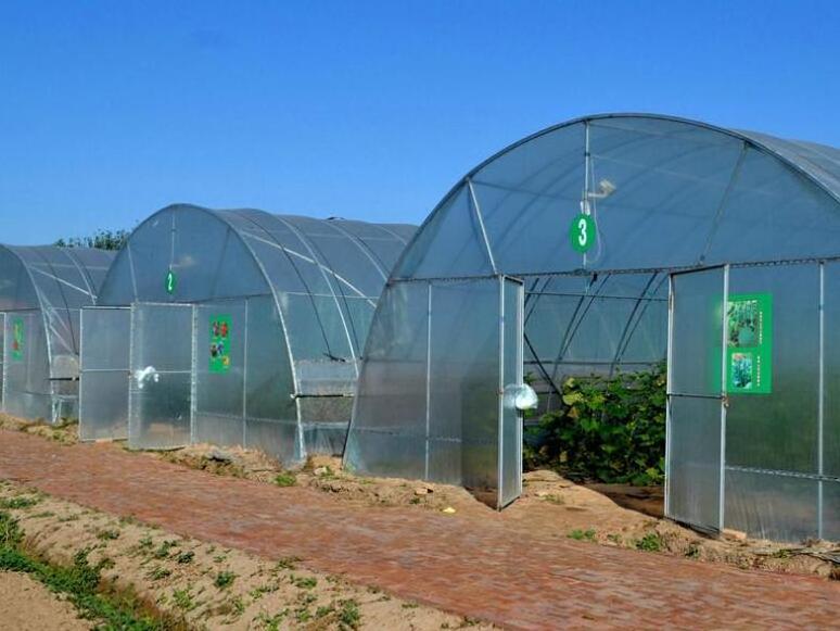 Mushroom growing greenhouse dome pe film agricultural invernadero greenhouses project