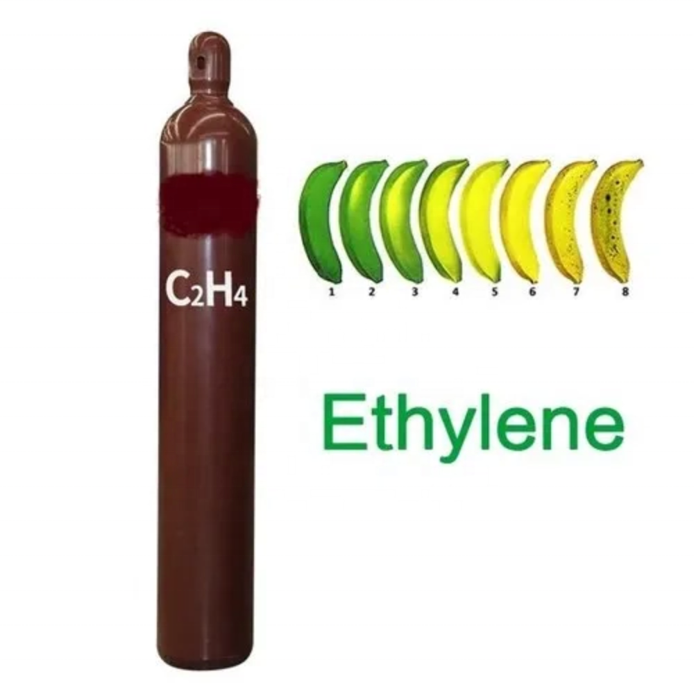 99.95% C2h4 Gas Ethylene Gas Fill in 40L  47L 50L Cylinder Ethylene