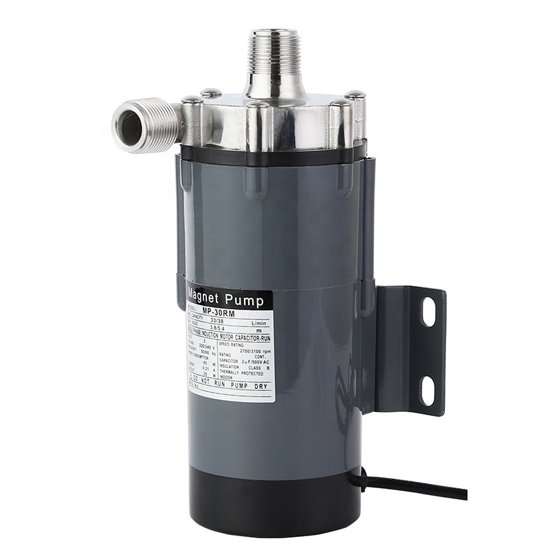 MP 30RM Popular Beer Brewing 304 Stainless Steel Brewery 110/220V Food Grade Magnetic Drive Water Pump