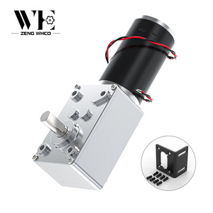 5840-31ZY Worm Gear Reducer Motor 12V/24V 7RPM~470RPM Speed Adjustable DC Reducer Motor Micro Motor High Torque