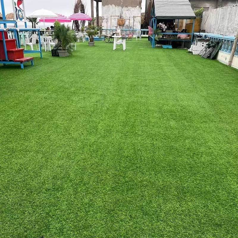 20mm Competitive Price Landscaping Artificial Grass for Decoration