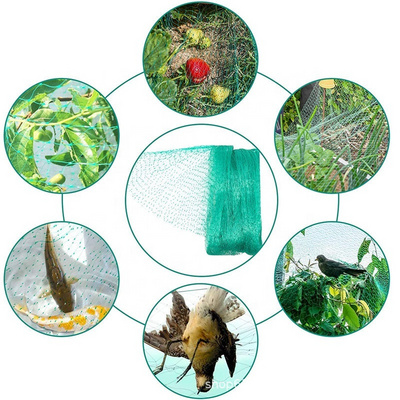 100% New PP Orchard Protect Green Anti Bird Net Agriculture Anti Bird Net