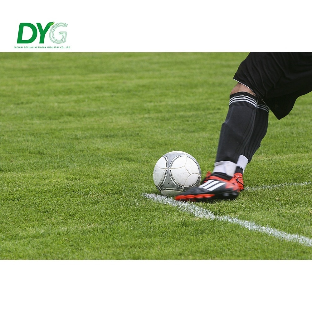 DYG High Quality Grass Synthetic Football Carpet Artificial Grass For Outdoor Football