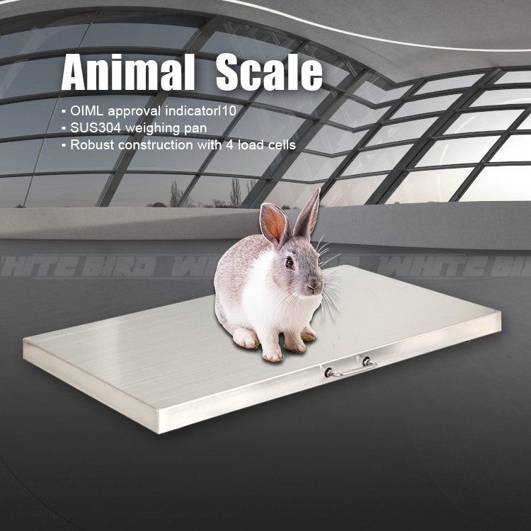 Hot Selling Electric High Accuracy Stainless Steels 300kg Load Capacity Animals Weighing Scale