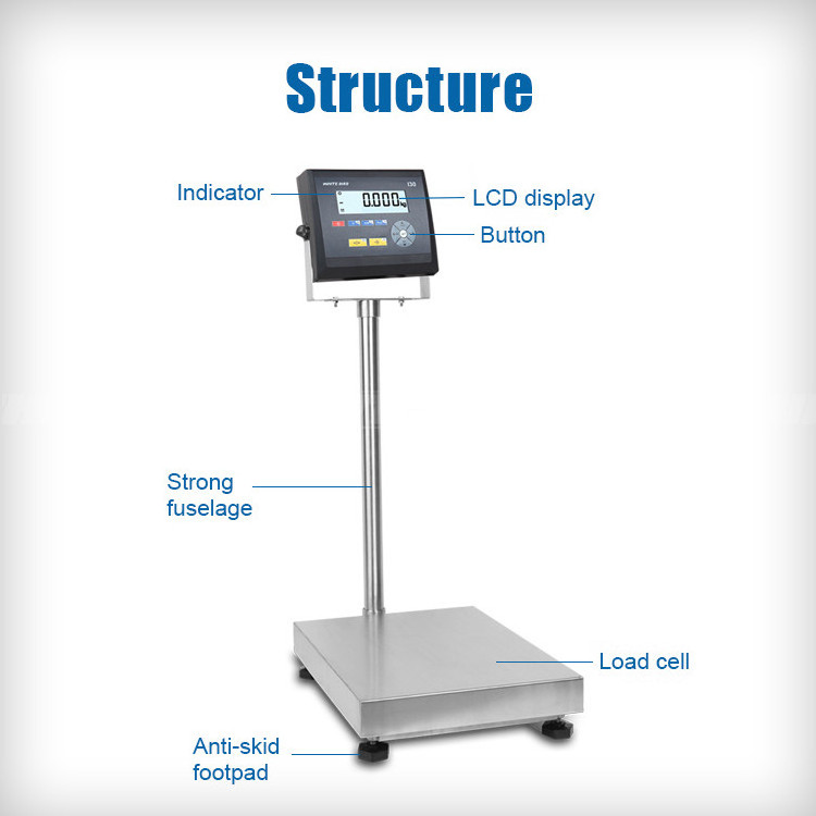 Favorable RS232C Print Check Weight Counting Auto Hold Function Electronic Bench Balance Scale