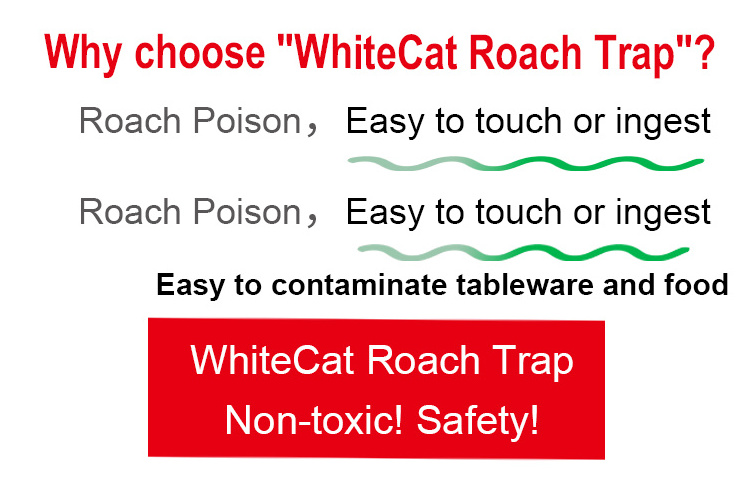 Cockroach Natural Cheap Rat Cockroach Reptile Glue Sticky Trap Cockroach Killer Bait Powder