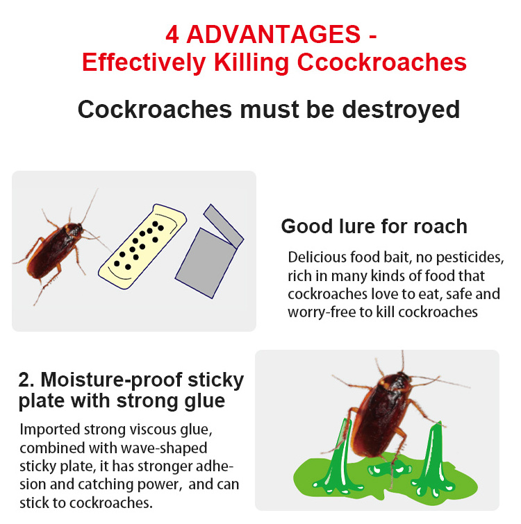 Cockroach Natural Cheap Rat Cockroach Reptile Glue Sticky Trap Cockroach Killer Bait Powder