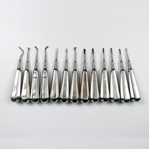 Dental Root Luxating Elevators Teeth Luxation Surgical Instruments