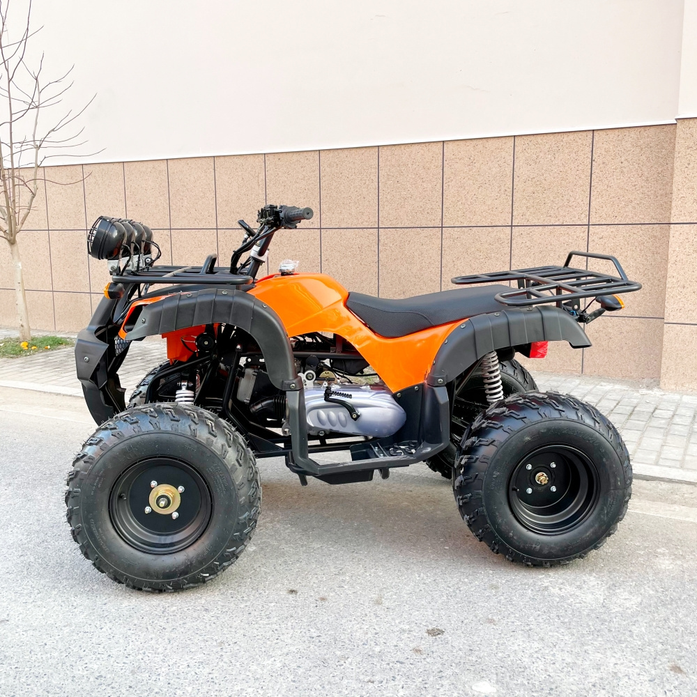 LNA time for fun 250cc gas powered 4 wheeler atv for kids