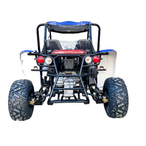 LNA agile handling 300cc automatic dune buggy