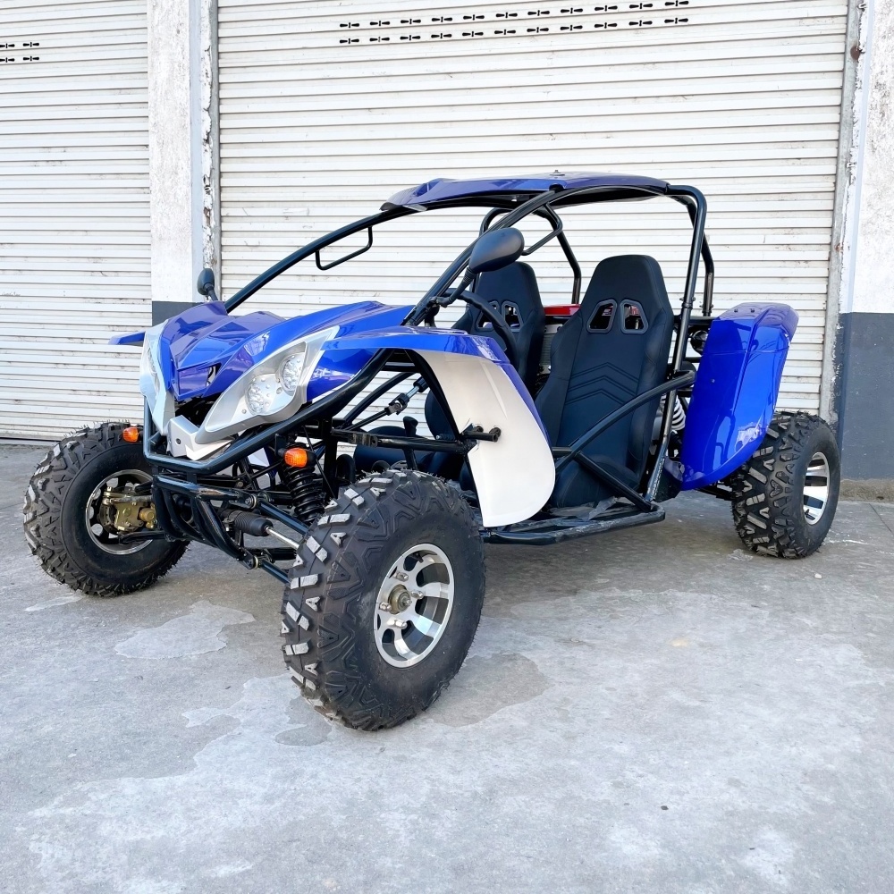 LNA wild running 300cc dune buggy frame