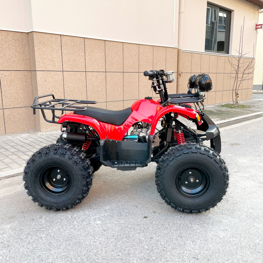 LNA beautiful wheels 125cc kids quad