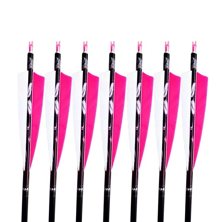 Carbon Arrow 28/30/31 Inch Spine 500 with Replaceable Arrowhead for Compound/Recurve Bow Archery Hunting