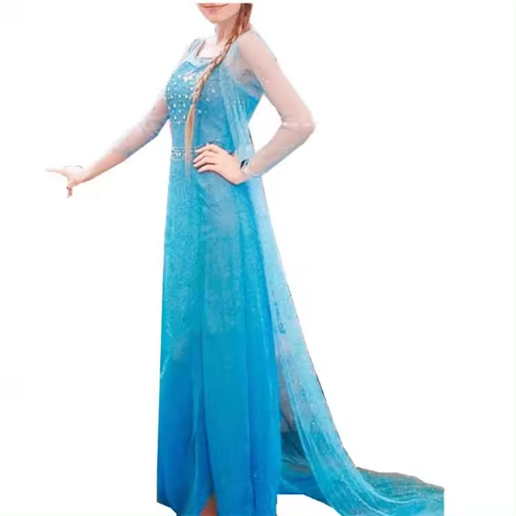 Adult Elsa Princess Dress Halloween Cosplay Fancy Party Dress Up Anna Elsa Costume for Women