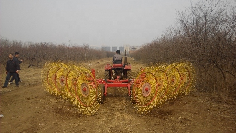 PTO Driven 3-point Finger Wheel Hay Rake