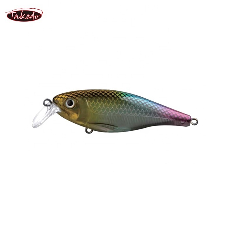 TAKEDO RHL023 STOUT  Minnow 80A  80mm/12g Floating Bait With VMC(BKK) Treble Feather  Hook Minnow Lure Bass Lure