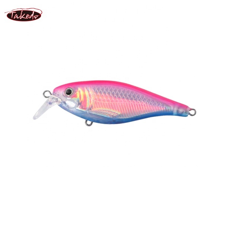 TAKEDO RHL023 STOUT  Minnow 80A  80mm/12g Floating Bait With VMC(BKK) Treble Feather  Hook Minnow Lure Bass Lure