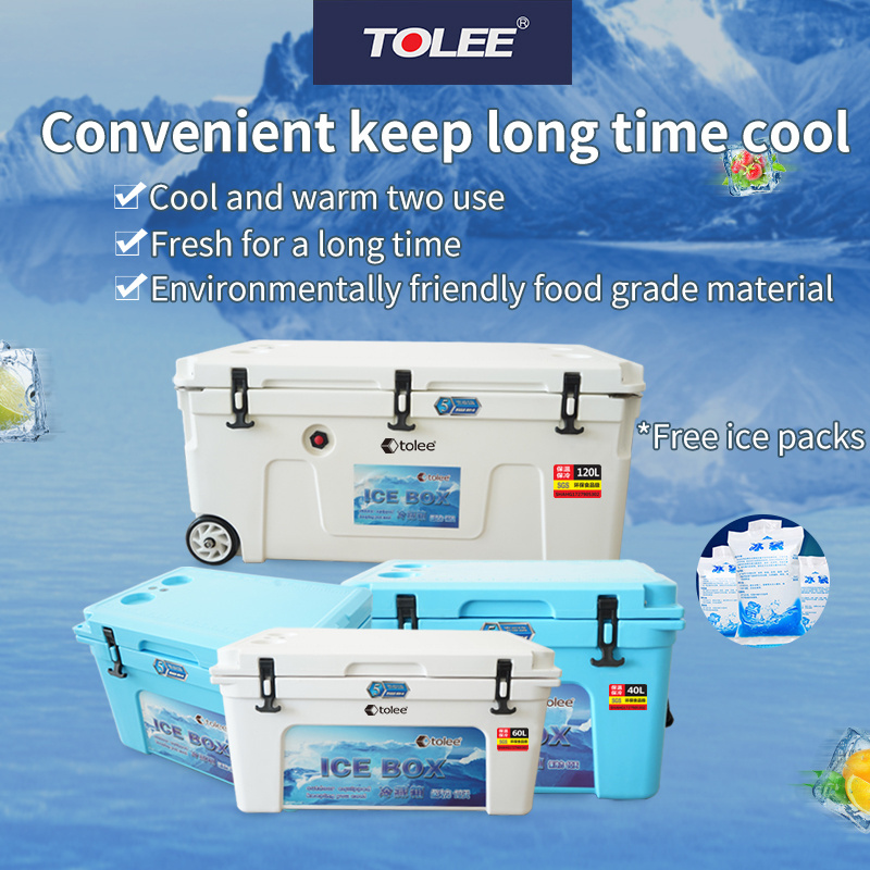 TOLEE Low price promotion big blood vaccine plastic cooler box beer can drinking ice cooler box with handle  aussie box coolers